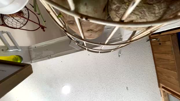 daddydic120402 21-01-2026 video playtime