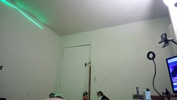 charlied09302 26-01-2026 video sexymale