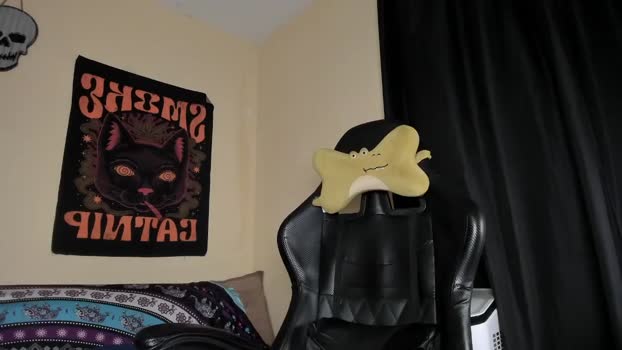 halan_jr 26-01-2026 video strip