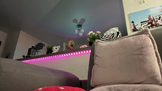 jeremy1scott 26-01-2026 video nasty