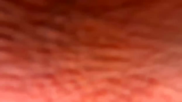 pitt821 25-01-2026 video dirty