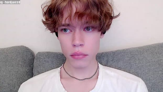 pawclaw 28-01-2026 video strip