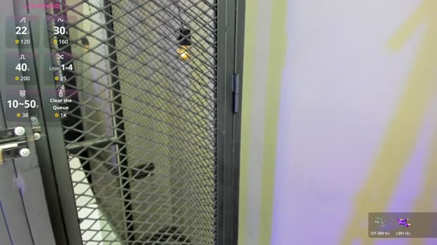 marcovitto 29-01-2026 video moan