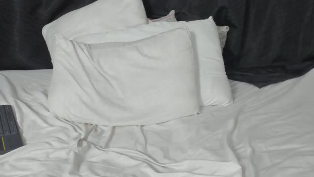 energio_19 01-02-2026 video Video