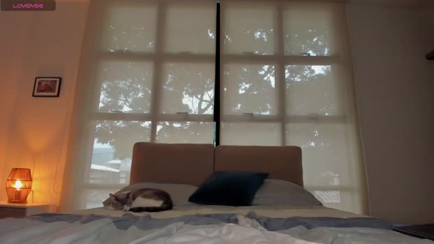 aaronmagnum 01-02-2026 video spank