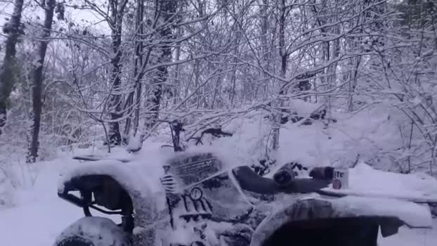 hardworkertn 01-02-2026 video gay