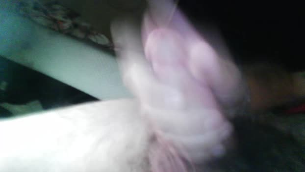 phxstud369 06-02-2026 video toys