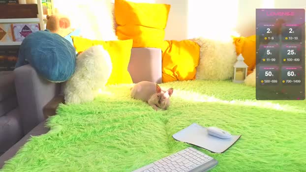 landel_boy 07-02-2026 video analtoy