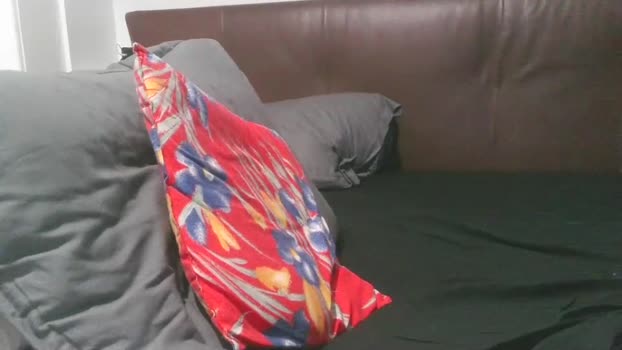 stevenpit 08-02-2026 video toy