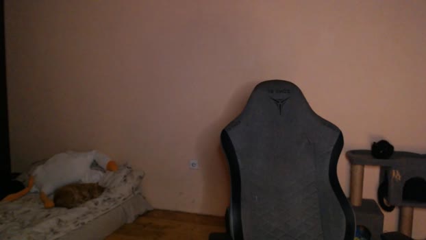 _purrari 10-02-2026 video fuckass