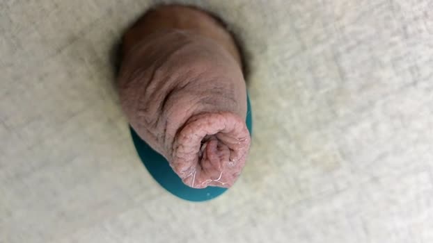 melon322939 10-02-2026 video toy