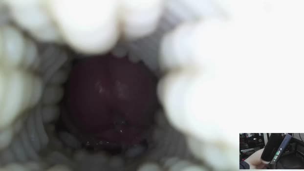 xoxowtf 10-02-2026 video fuckme