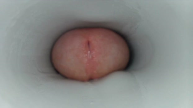 jeffrodgerschaturbat 13-02-2026 video oral