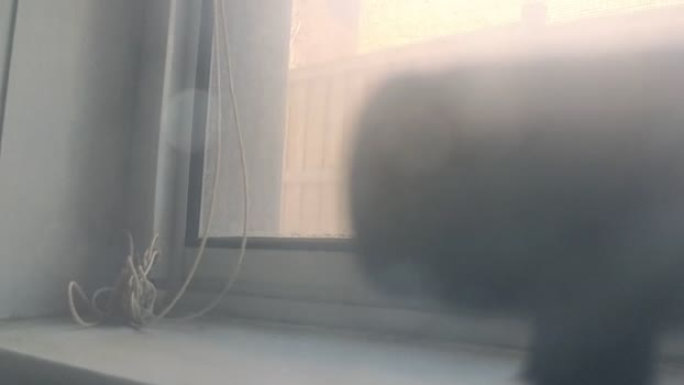 blastoise234 13-02-2026 video kinky