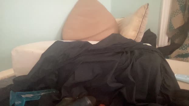 melt13 14-02-2026 video oral