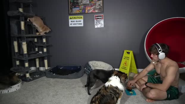 sydaffect 14-02-2026 video suckcock