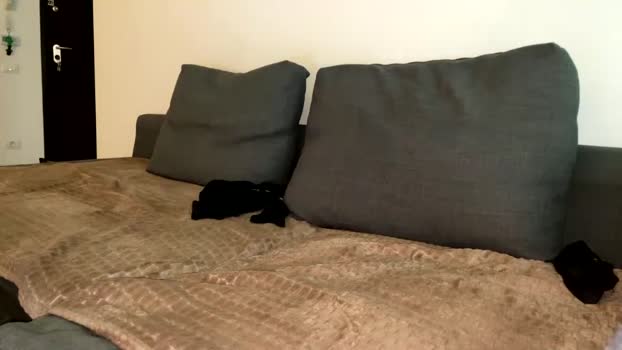 drwkk 15-02-2026 video oral