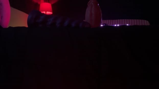 kinksss4all 15-02-2026 video spanking