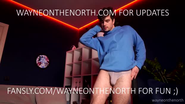 waynenorth 14-02-2026 video squirt
