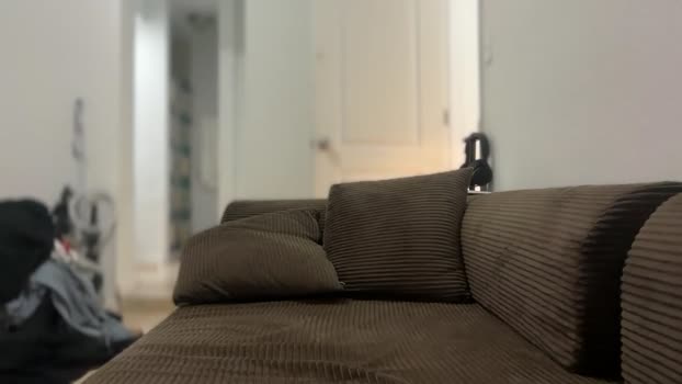 unverifiedbwc 16-02-2026 video spank