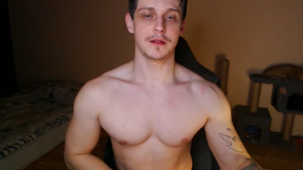 _purrari 17-02-2026 video analtoy