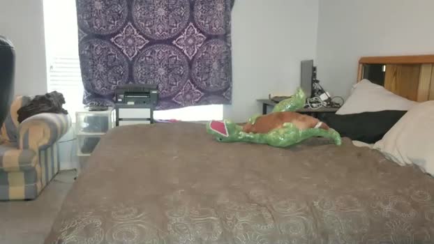 filfaonyx 16-02-2026 video Porn