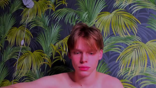 kenordi 17-02-2026 video harddick