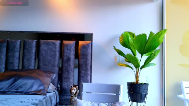 santin_seans 17-02-2026 video fuckme