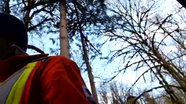 info_chat 19-02-2026 video sexykitty