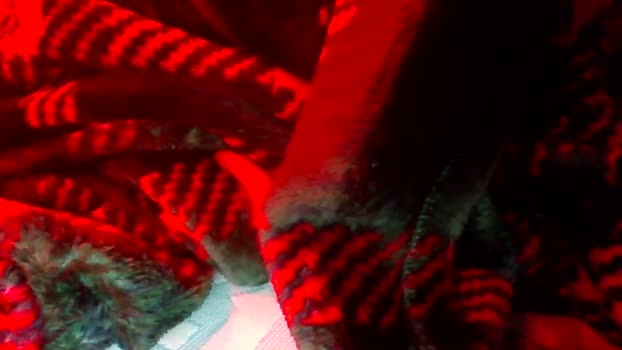 yourbitch1762 20-02-2026 video fuckher