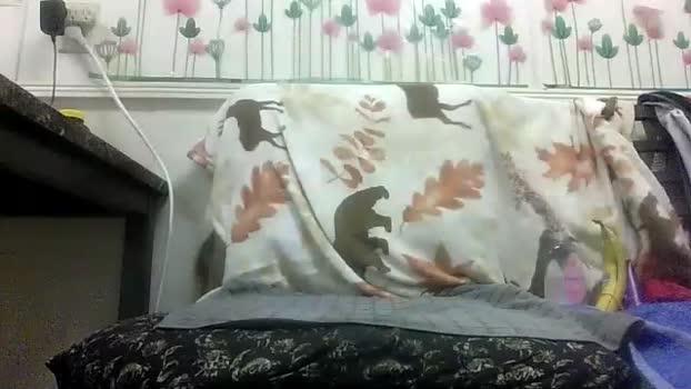 sexy_white_daddy 24-02-2026 video fuckass