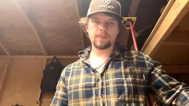 treeman817 27-02-2026 video bigload