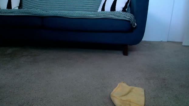 flanneldong 05-03-2026 video deep