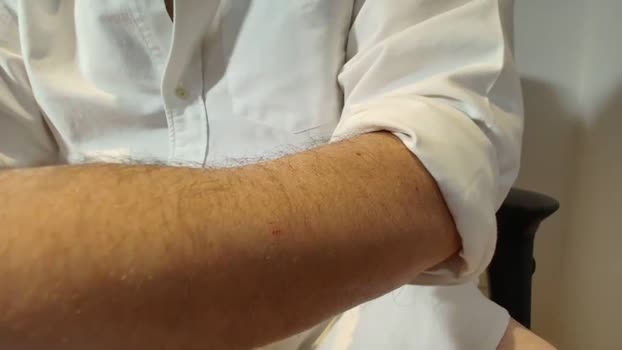 sesxappeal 04-03-2026 video play