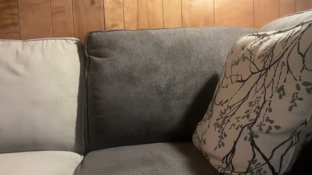 shirtlesshunk15 05-03-2026 video gag