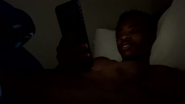 brick280446 07-03-2026 video bigtoys