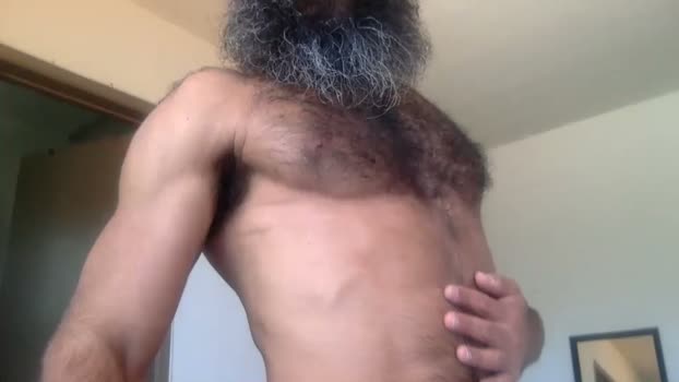 woof_wolf37 07-03-2026 video toy