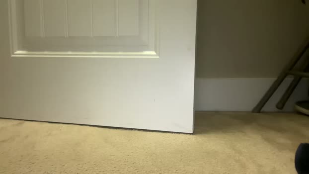 collegevirgih 09-03-2026 video love