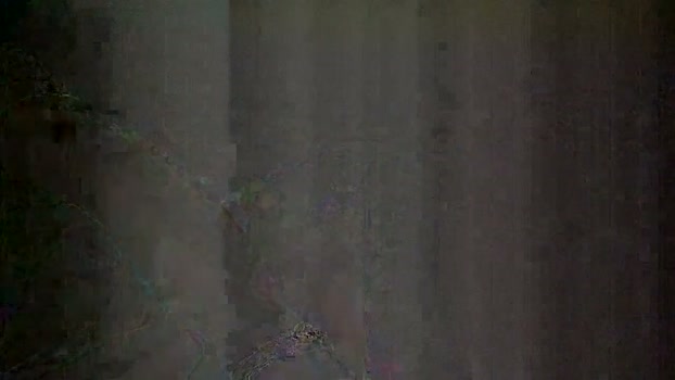 hoabingan19888 12-03-2026 video lush