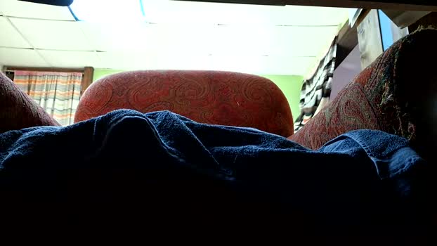 seymore_bhutz 12-03-2026 video squirt