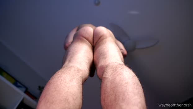 waynenorth 15-03-2026 video cute