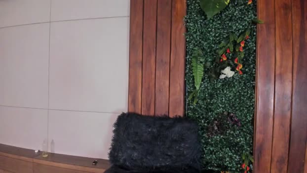 andyjoy_ 16-03-2026 video suckcock