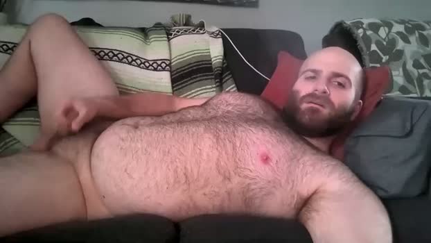 hairiestbear 17-03-2026 video beautiful