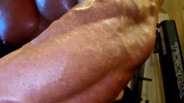 adonis_msc 23-03-2026 video ass