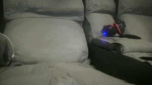 nostringfun 27-03-2026 video suck