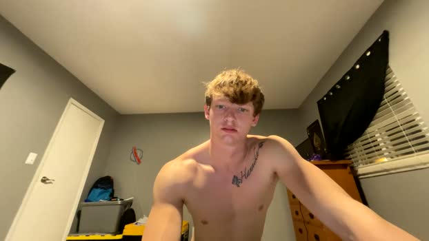 zebrasandgazelles 27-03-2026 video analtoy