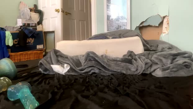 melt13 27-03-2026 video gag