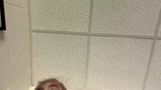 lanjustnow 28-03-2026 video gay