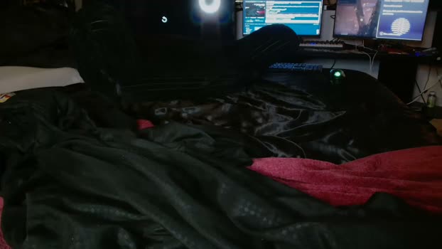 xxxjrstrokesxxx 31-03-2026 video lush