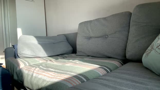 kevin_park 02-04-2026 video kissing